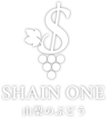 SHAIN ONE